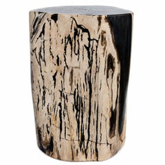 Petrified Wood Stump End Table