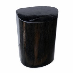 Petrified Wood Stump End Table