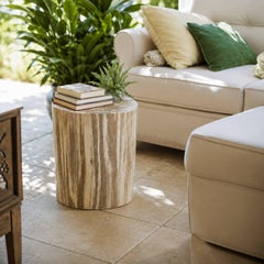Petrified Wood Stump End Table
