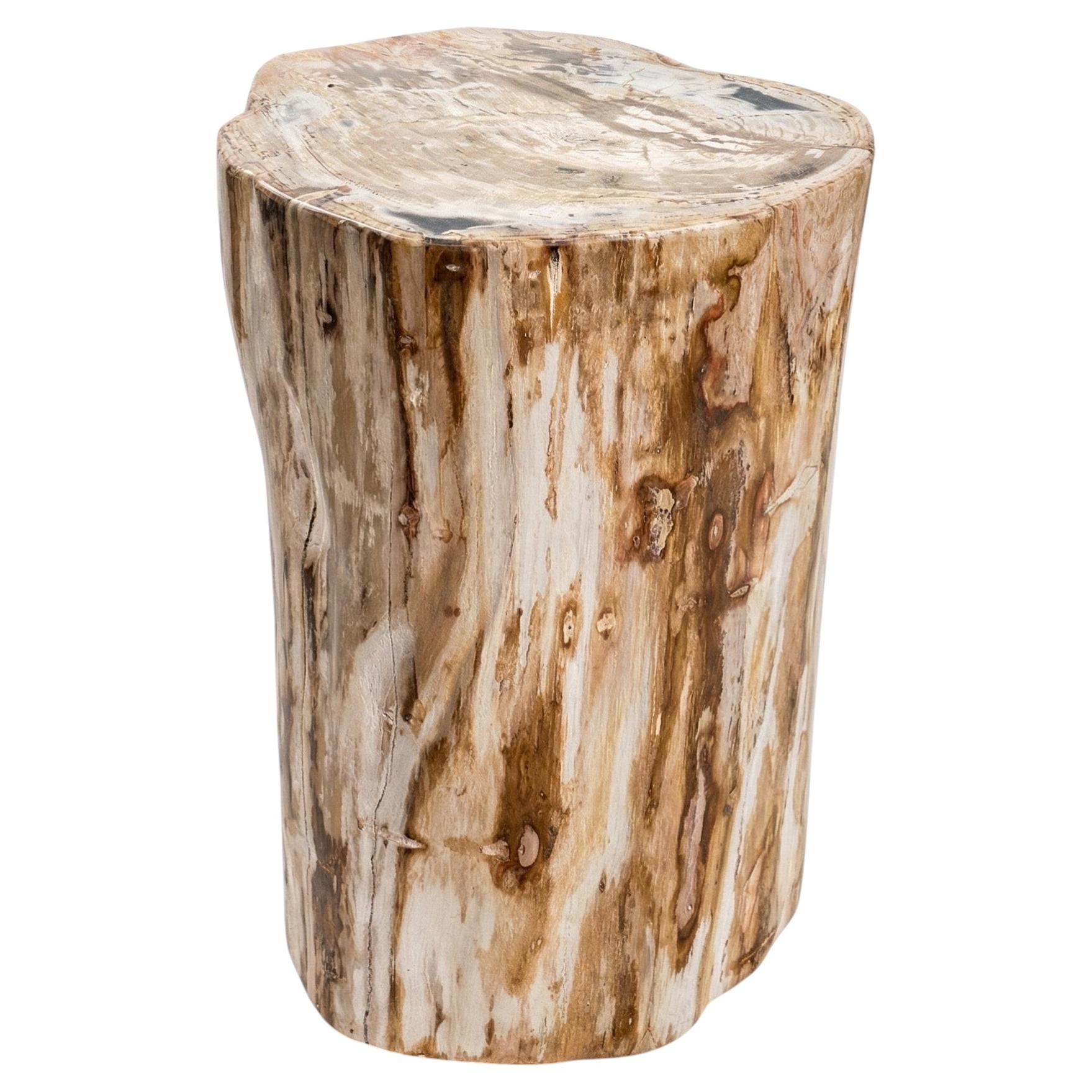 Petrified Wood Stump End Table
