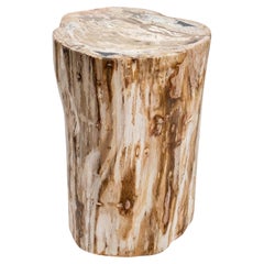 Petrified Wood Stump End Table