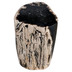 Petrified Wood Stump End Table