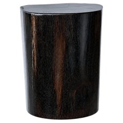 Petrified Wood Stump End Table