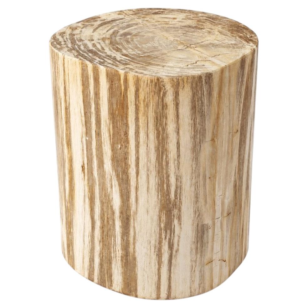 Table d'appoint en souche de bois pétrifié en vente