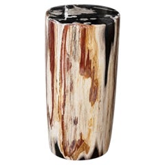 Petrified Wood Stump End Table