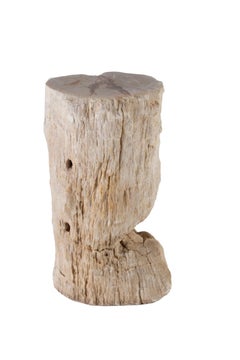 Petrified Wood Stump Pedestal