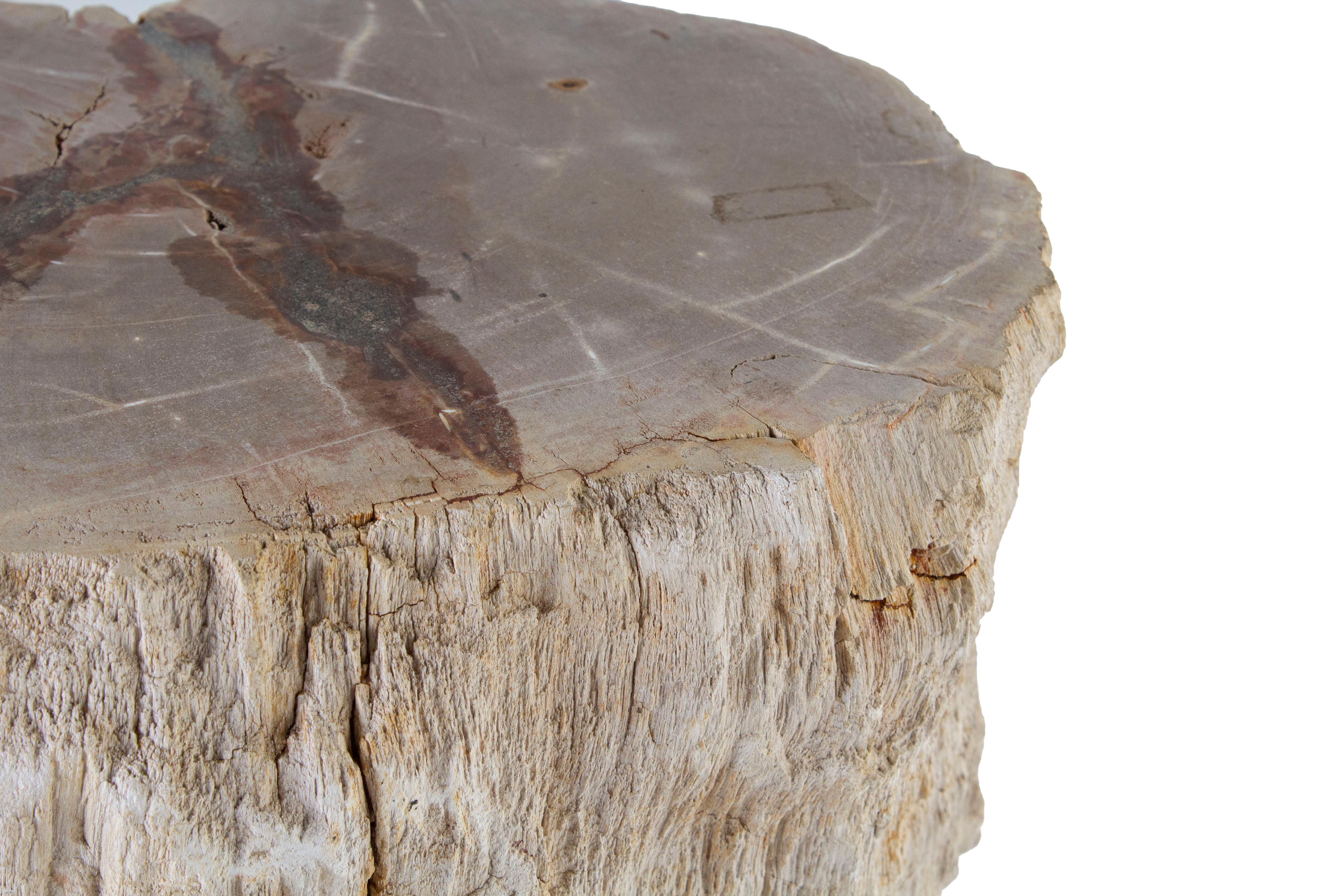 Organic Modern Petrified Wood Stump Pedestal For Sale
