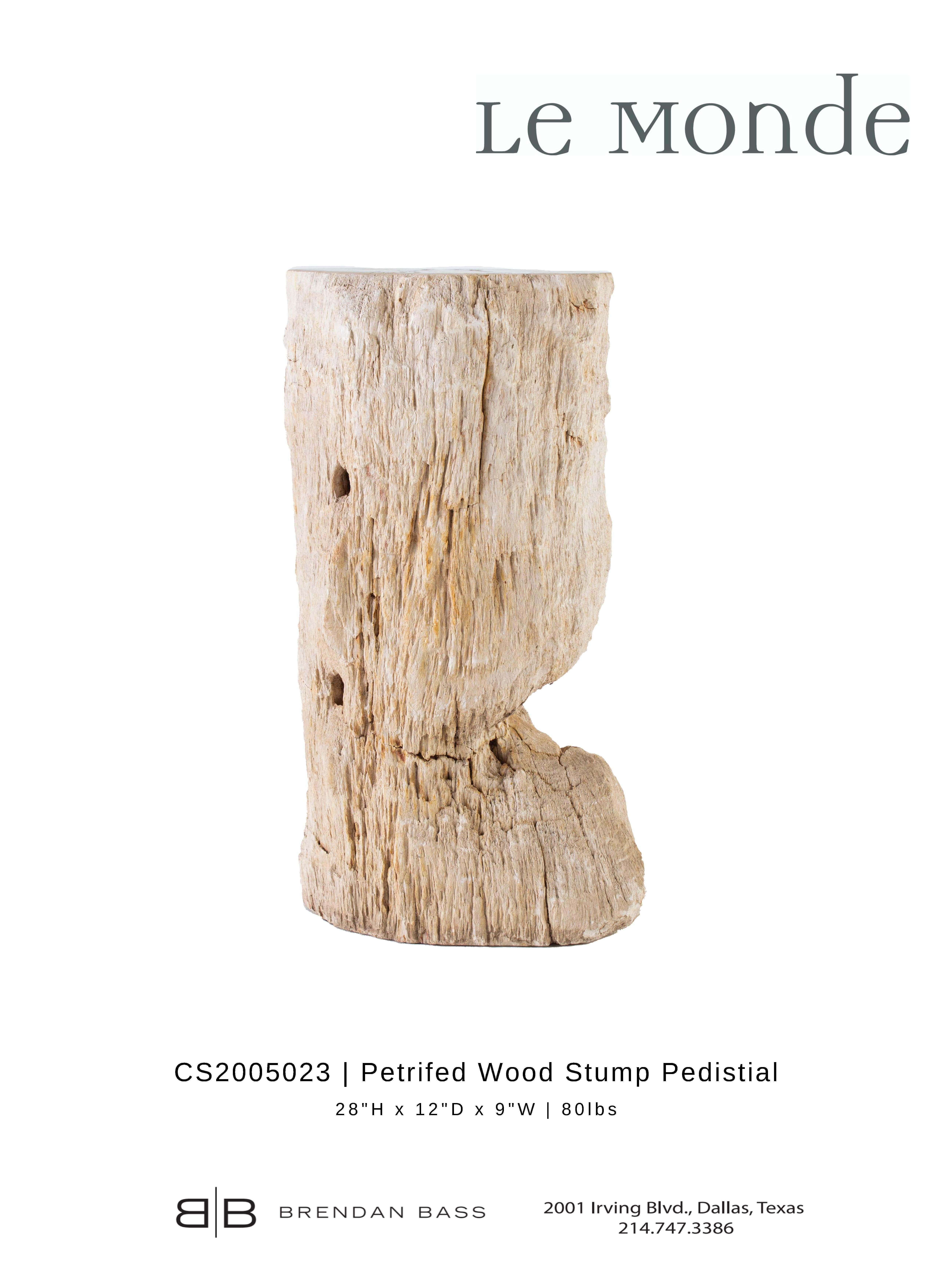 Petrified Wood Stump Pedestal In Good Condition For Sale In Dallas, TX