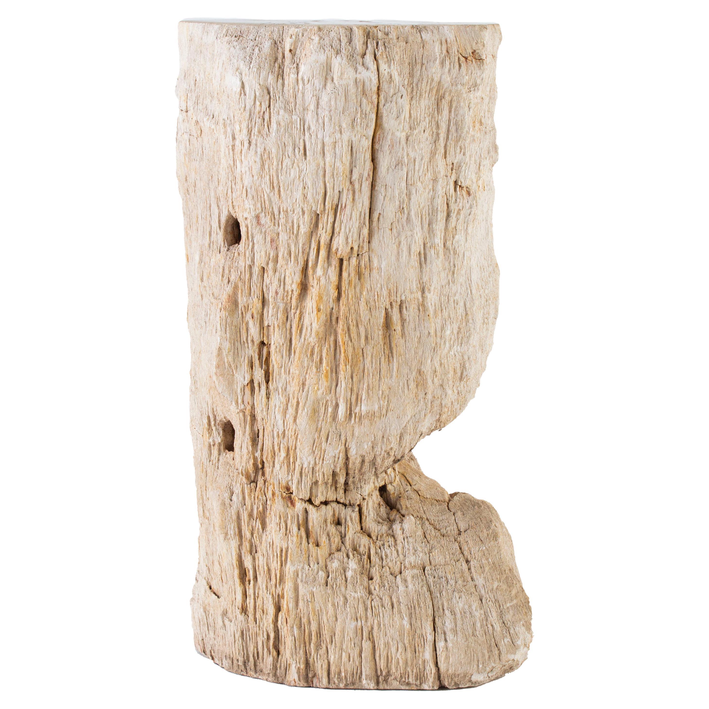 Petrified Wood Stump Pedestal For Sale
