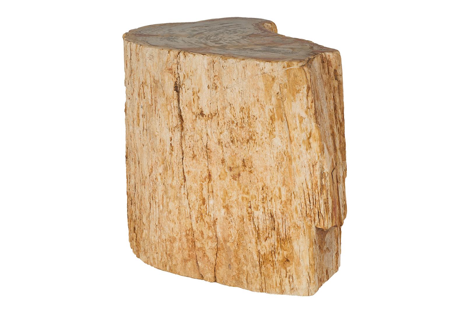 Organic Modern Petrified Wood Stump Side Table