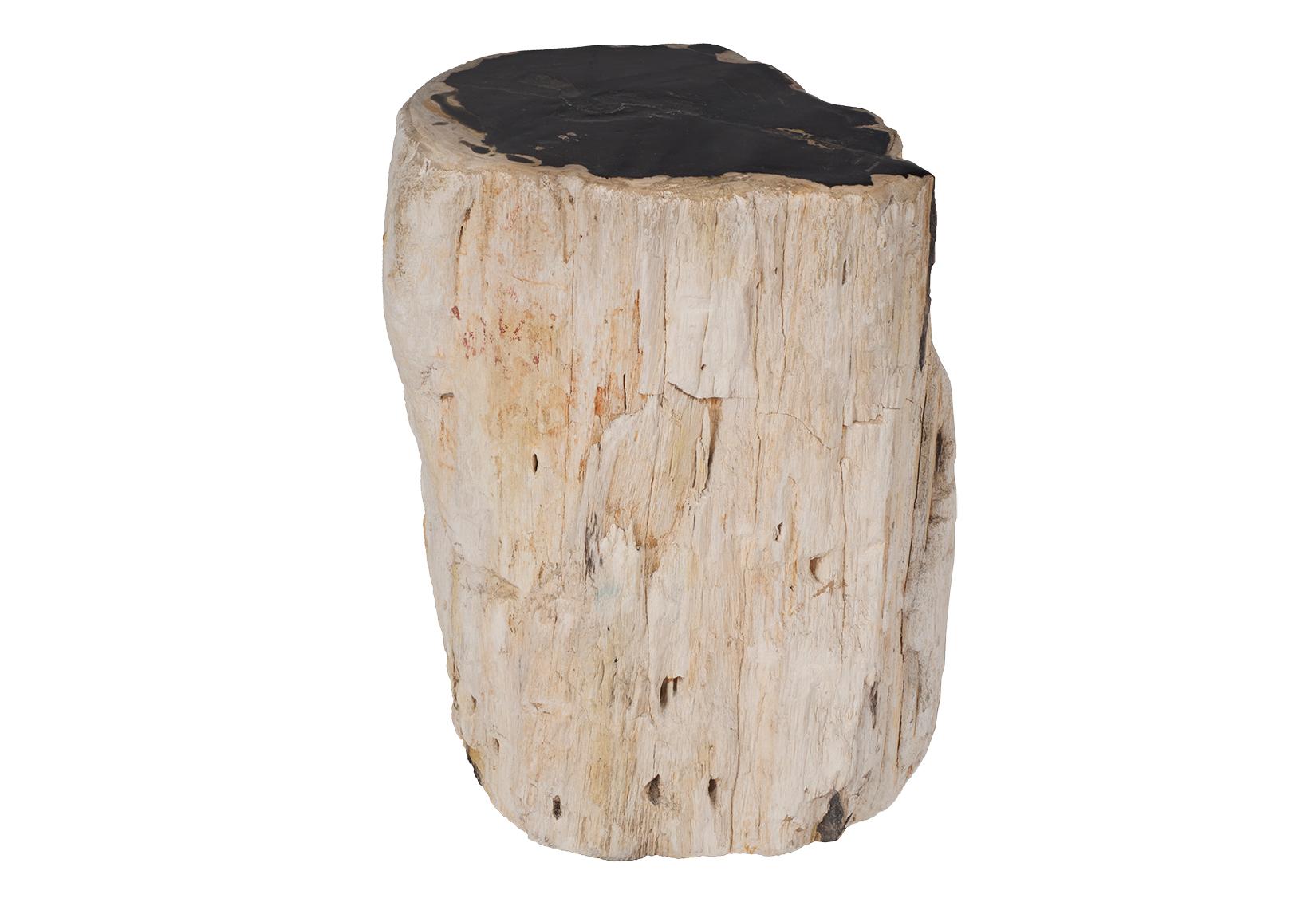 Organic Modern Petrified Wood Stump Side Table