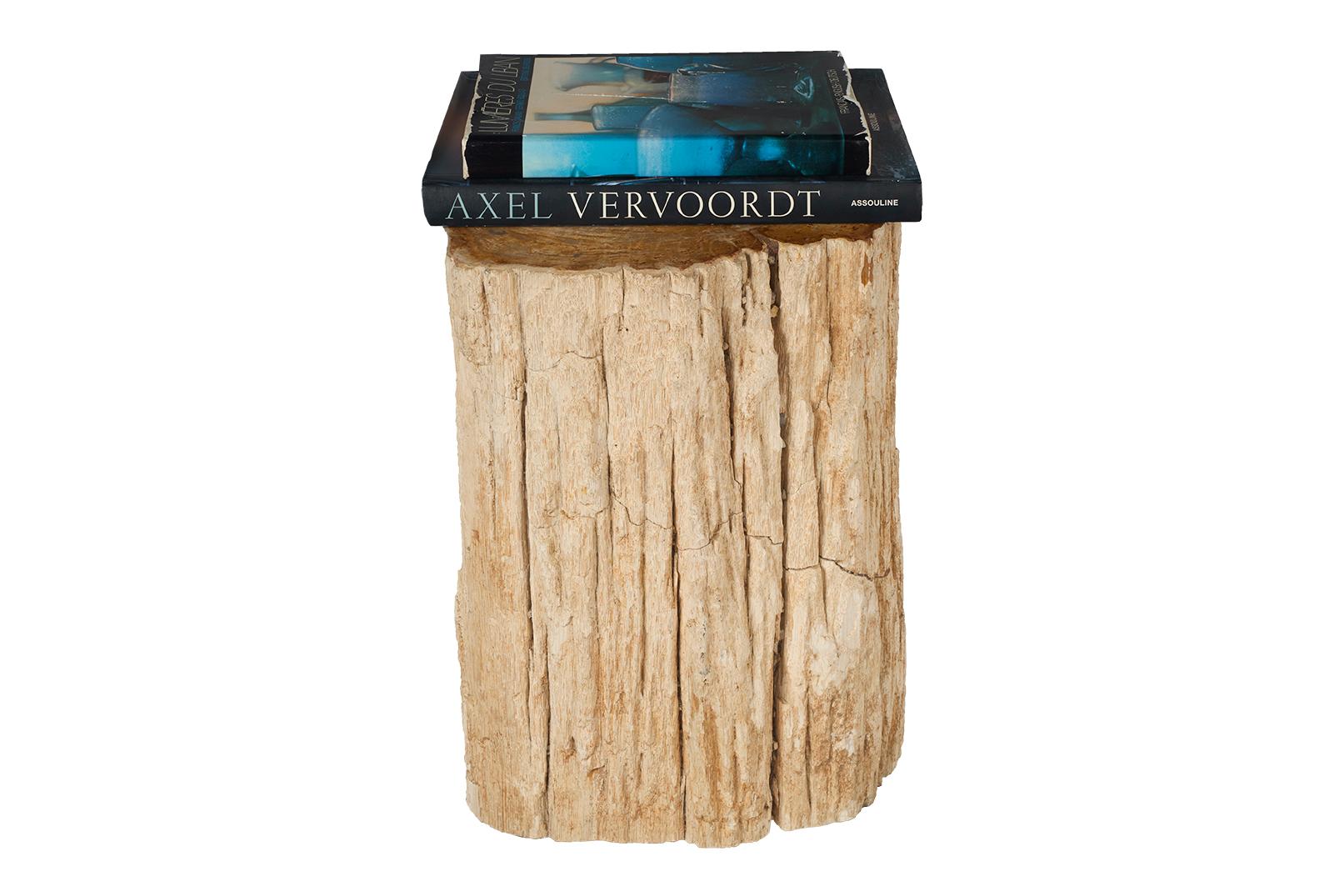 Organic Modern Petrified Wood Stump Side Table