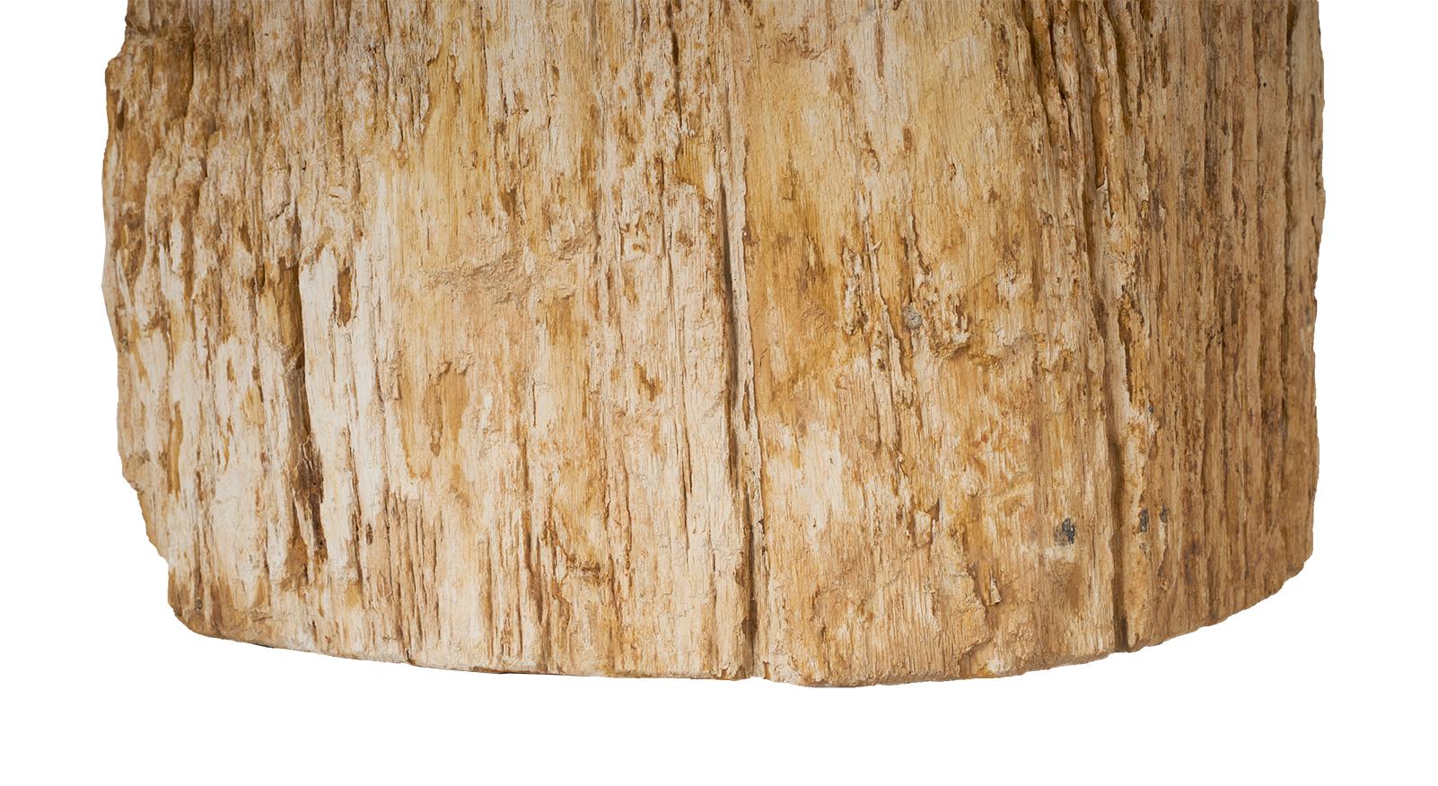 Petrified Wood Stump Side Table In Good Condition In Dallas, TX
