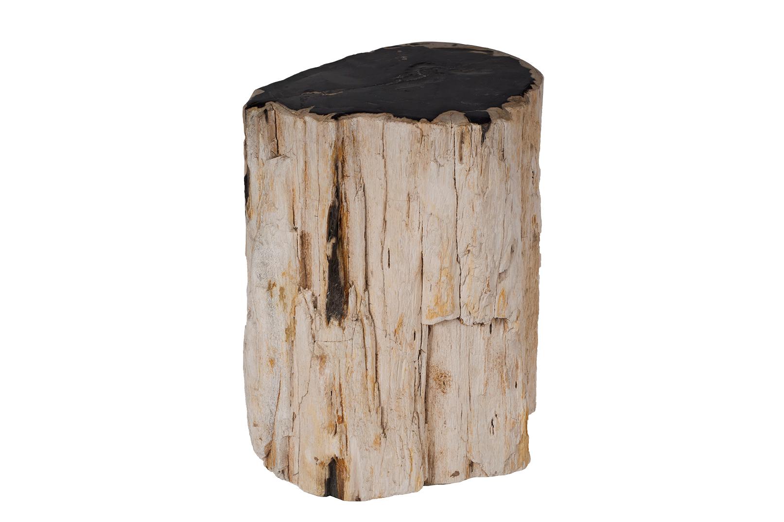 Petrified Wood Stump Side Table In Good Condition In Dallas, TX
