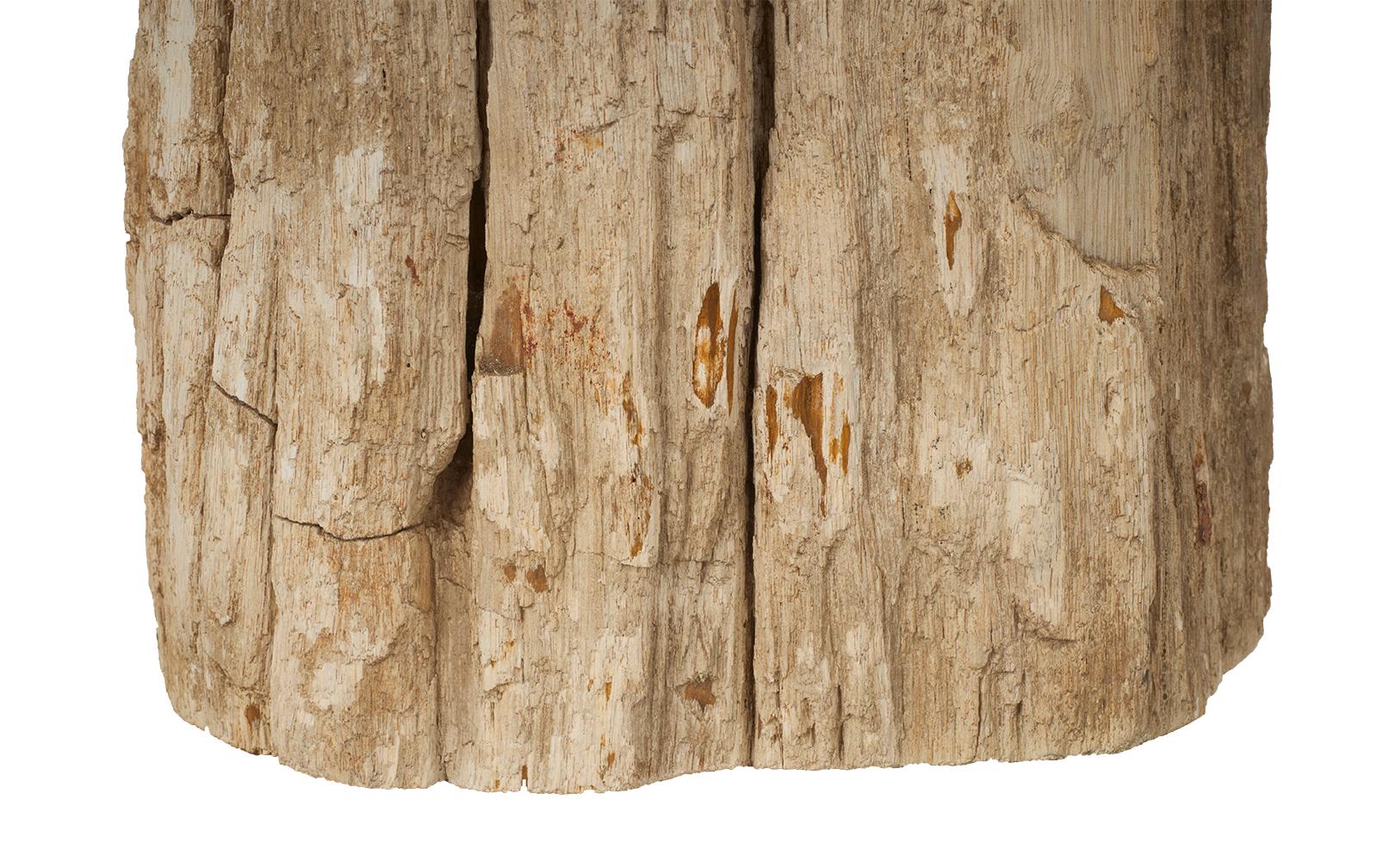 Petrified Wood Stump Side Table In Good Condition In Dallas, TX