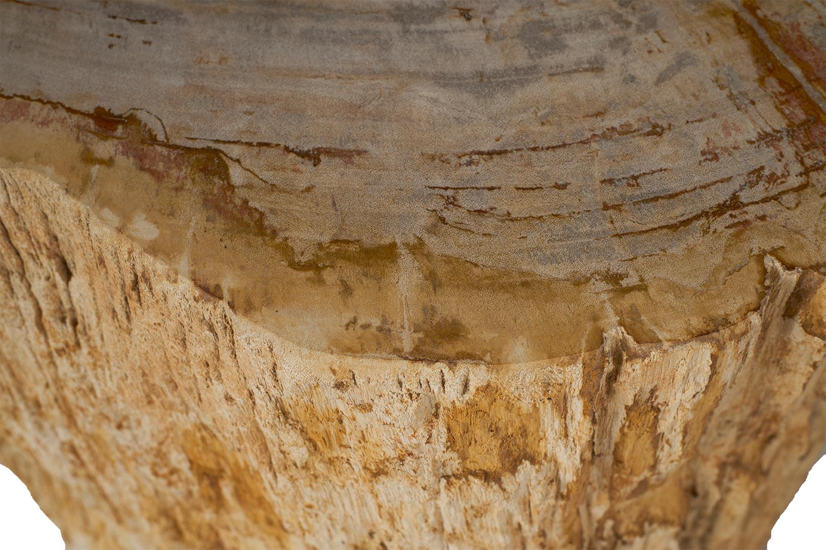 20th Century Petrified Wood Stump Side Table
