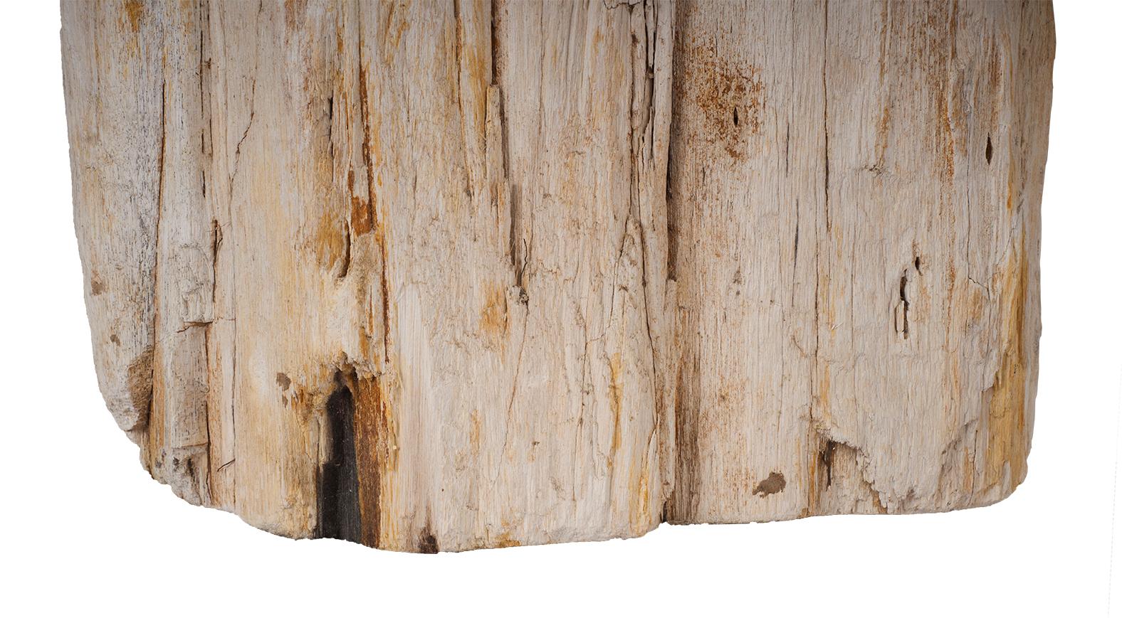 20th Century Petrified Wood Stump Side Table