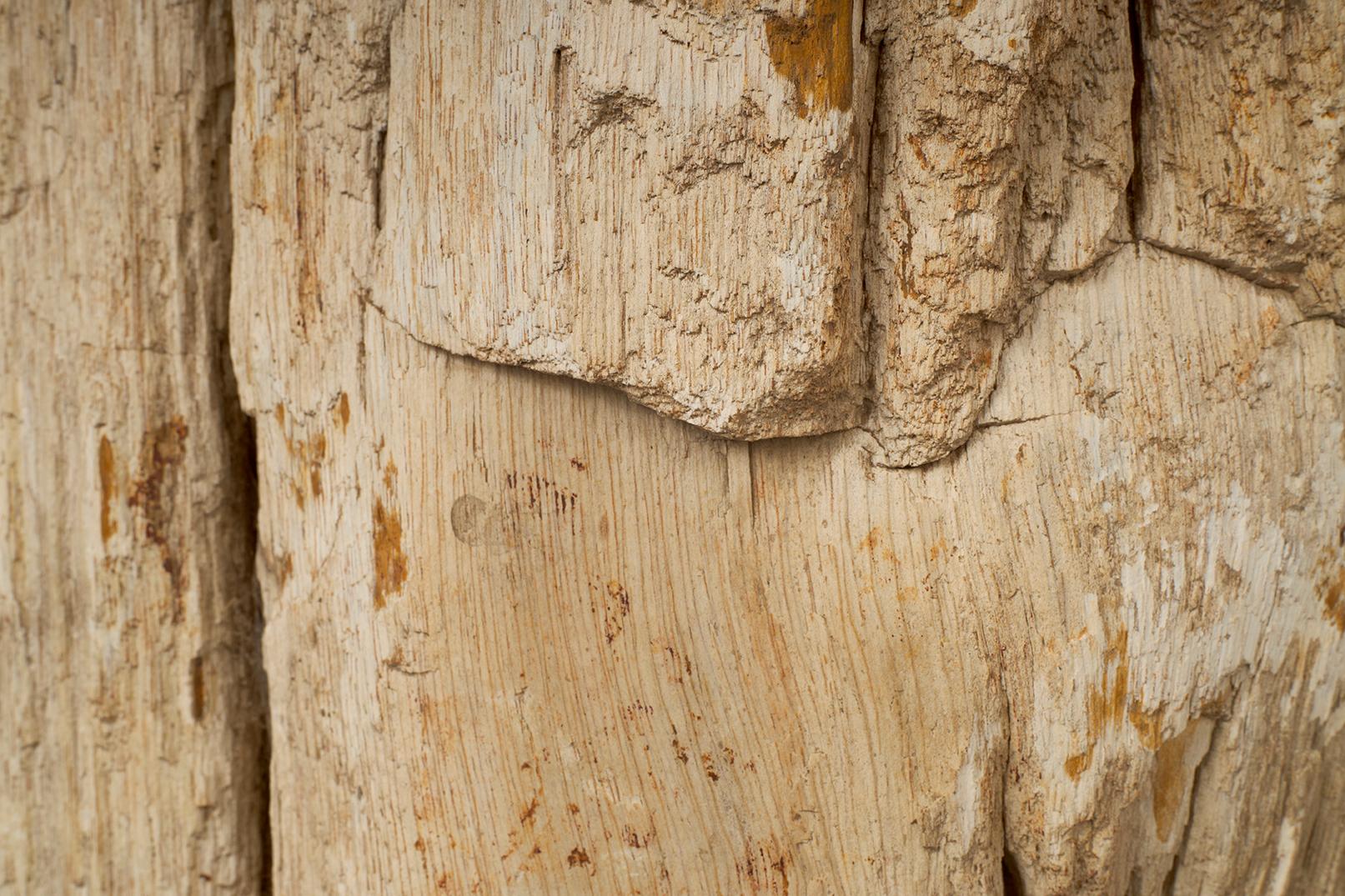 20th Century Petrified Wood Stump Side Table