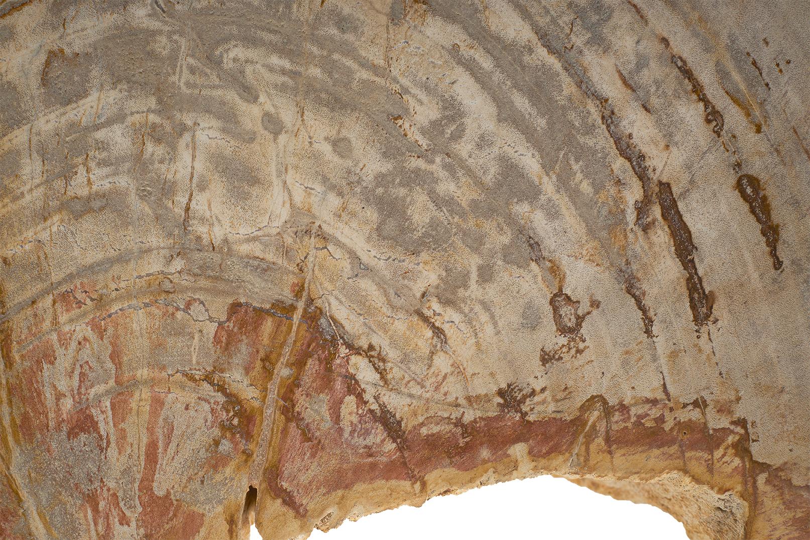 Petrified Wood Stump Side Table 1