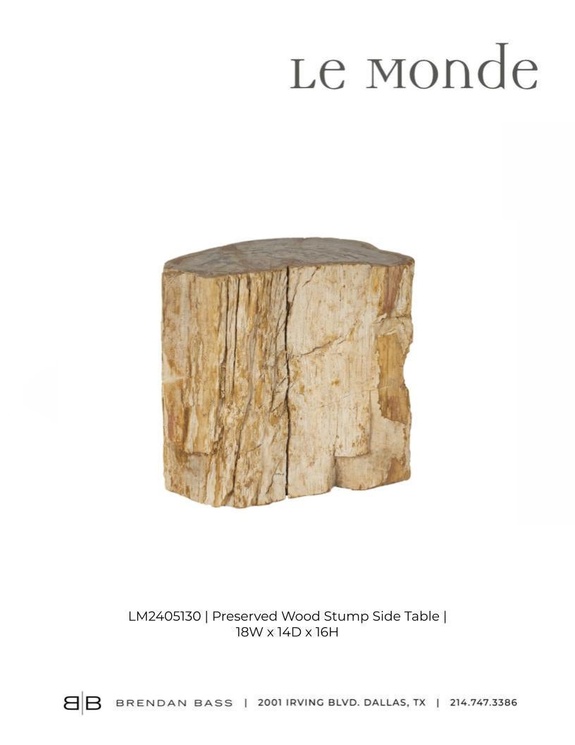 Petrified Wood Stump Side Table 2