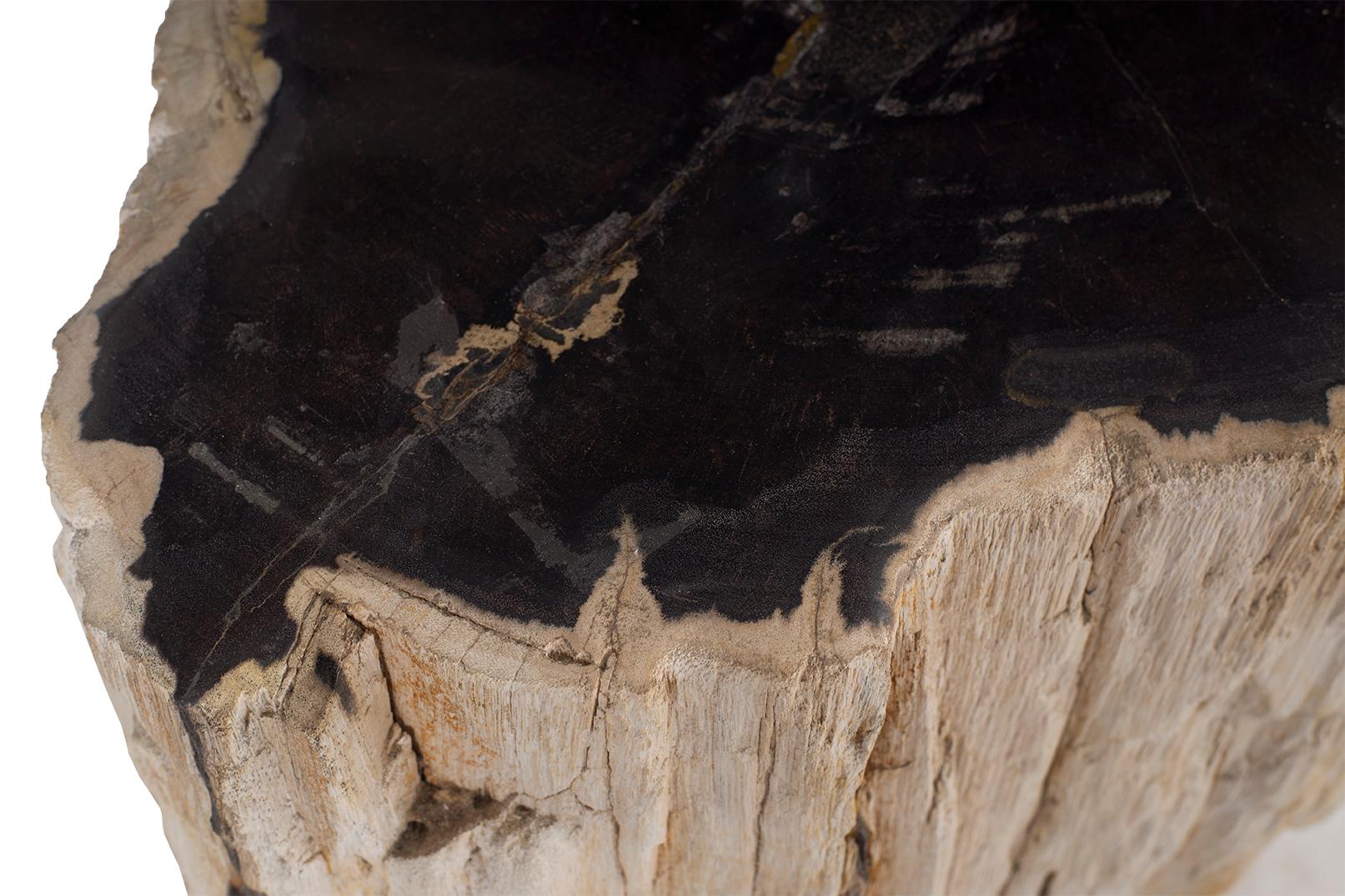 Petrified Wood Stump Side Table 2