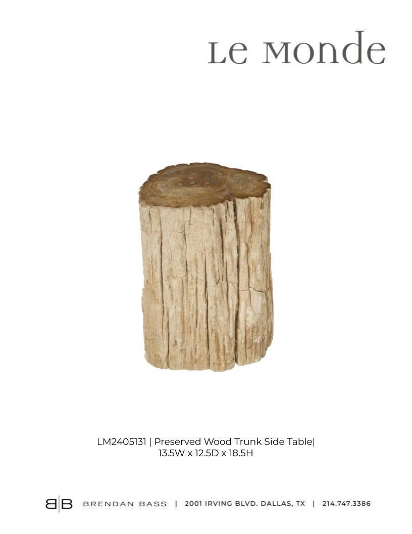 Petrified Wood Stump Side Table 2