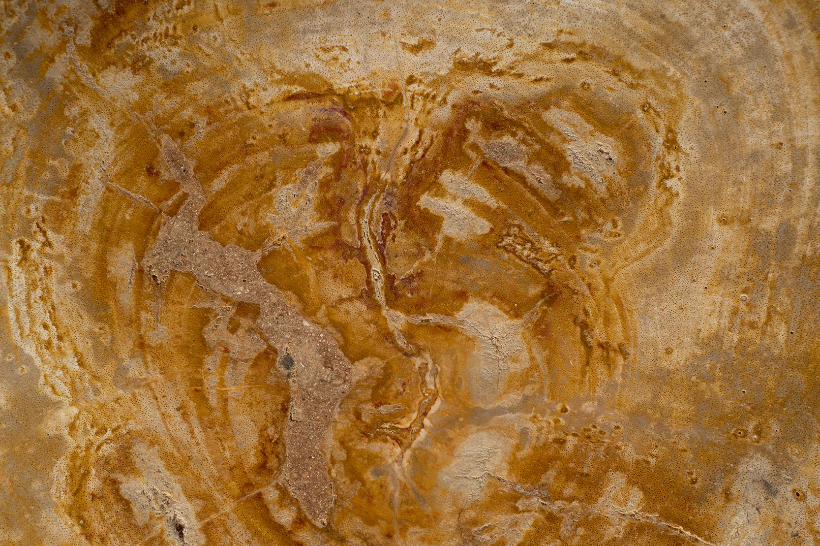 Petrified Wood Stump Side Table 3