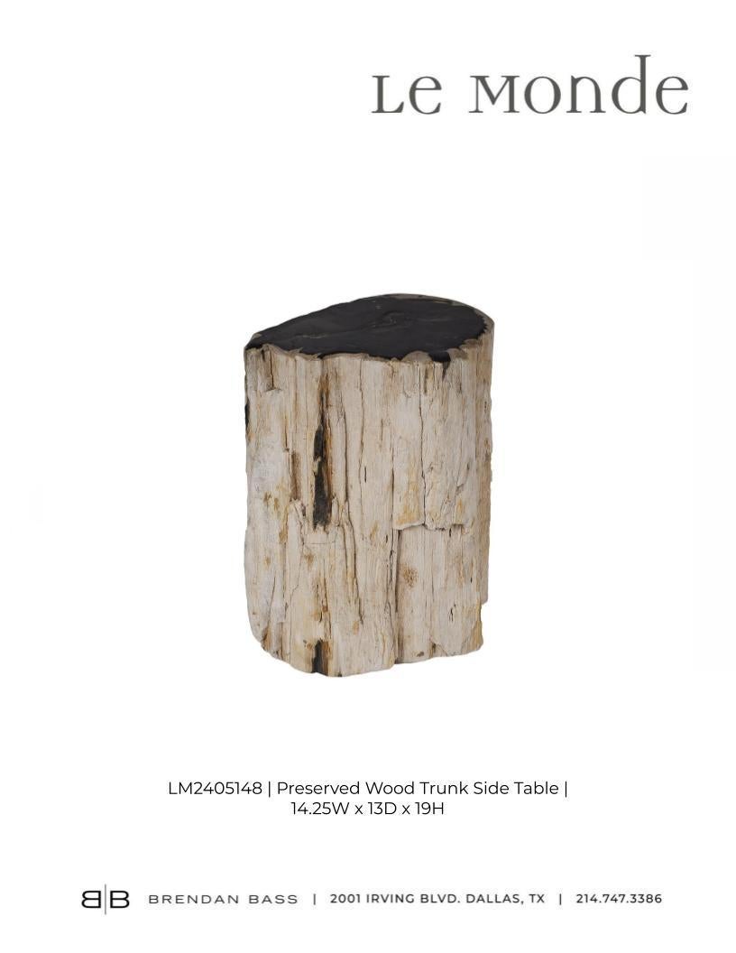 Petrified Wood Stump Side Table 4