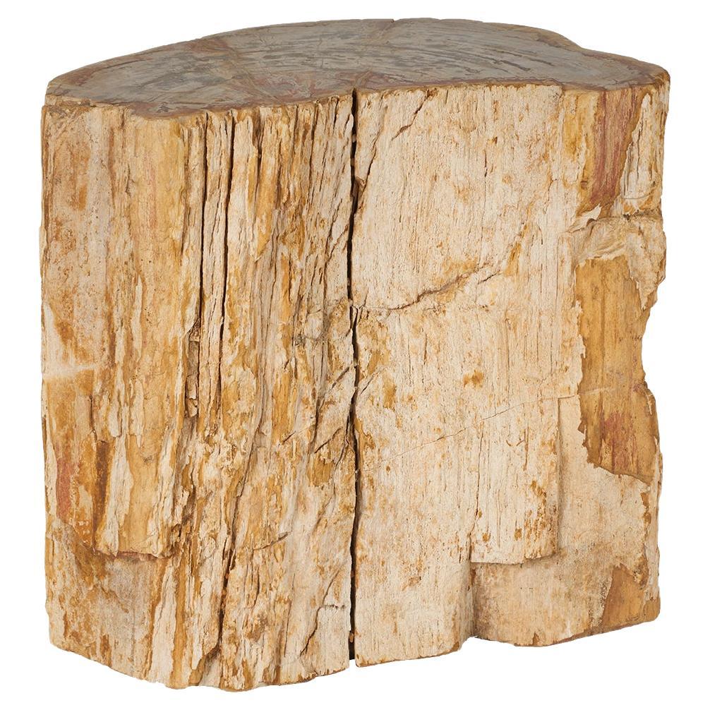 Petrified Wood Stump Side Table
