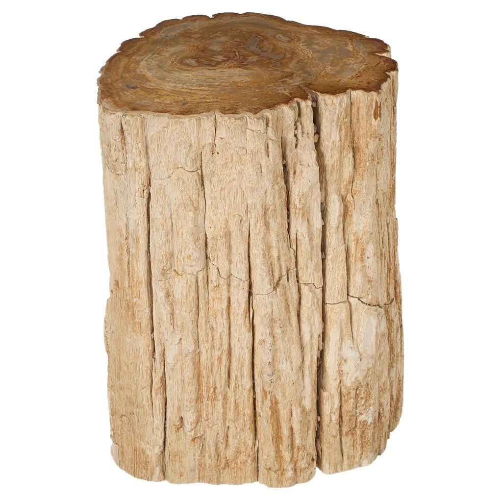 Petrified Wood Stump Side Table