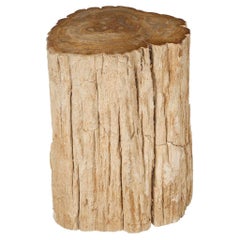 Petrified Wood Stump Side Table