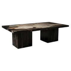 Petrified Wood Table, Black & Bone, Organic Modern, 21st Century