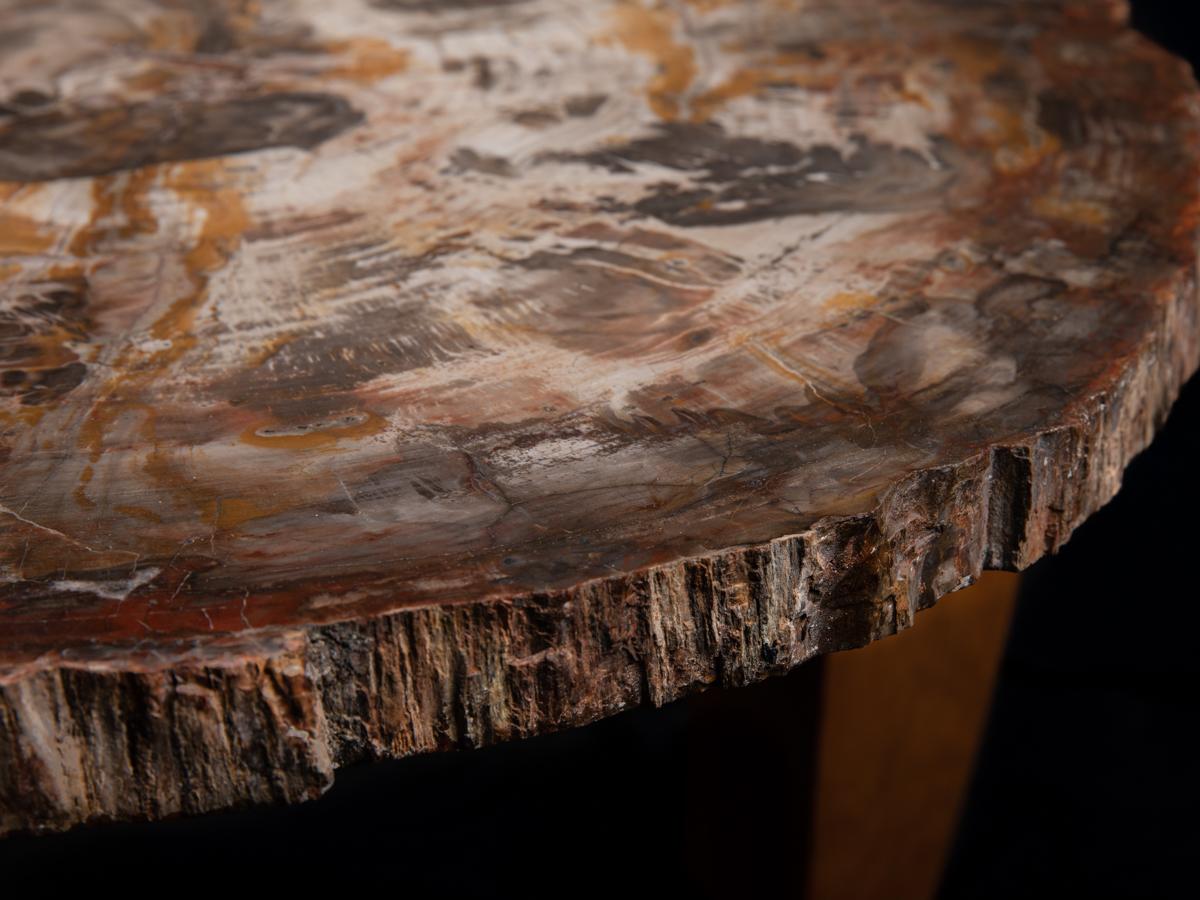 American Petrified Wood Table For Sale