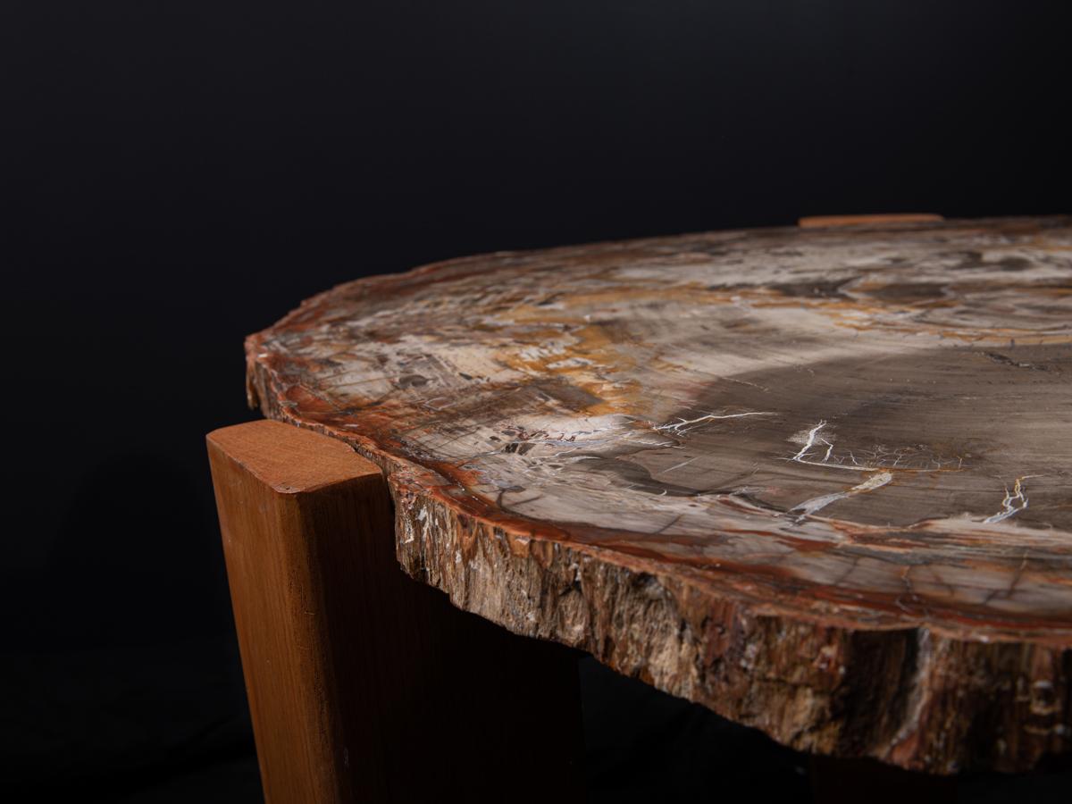 Petrified Wood Table In Excellent Condition For Sale In BAARN, UT