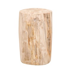 Petrified Wood Table in Neutral Cream and Tan Colors