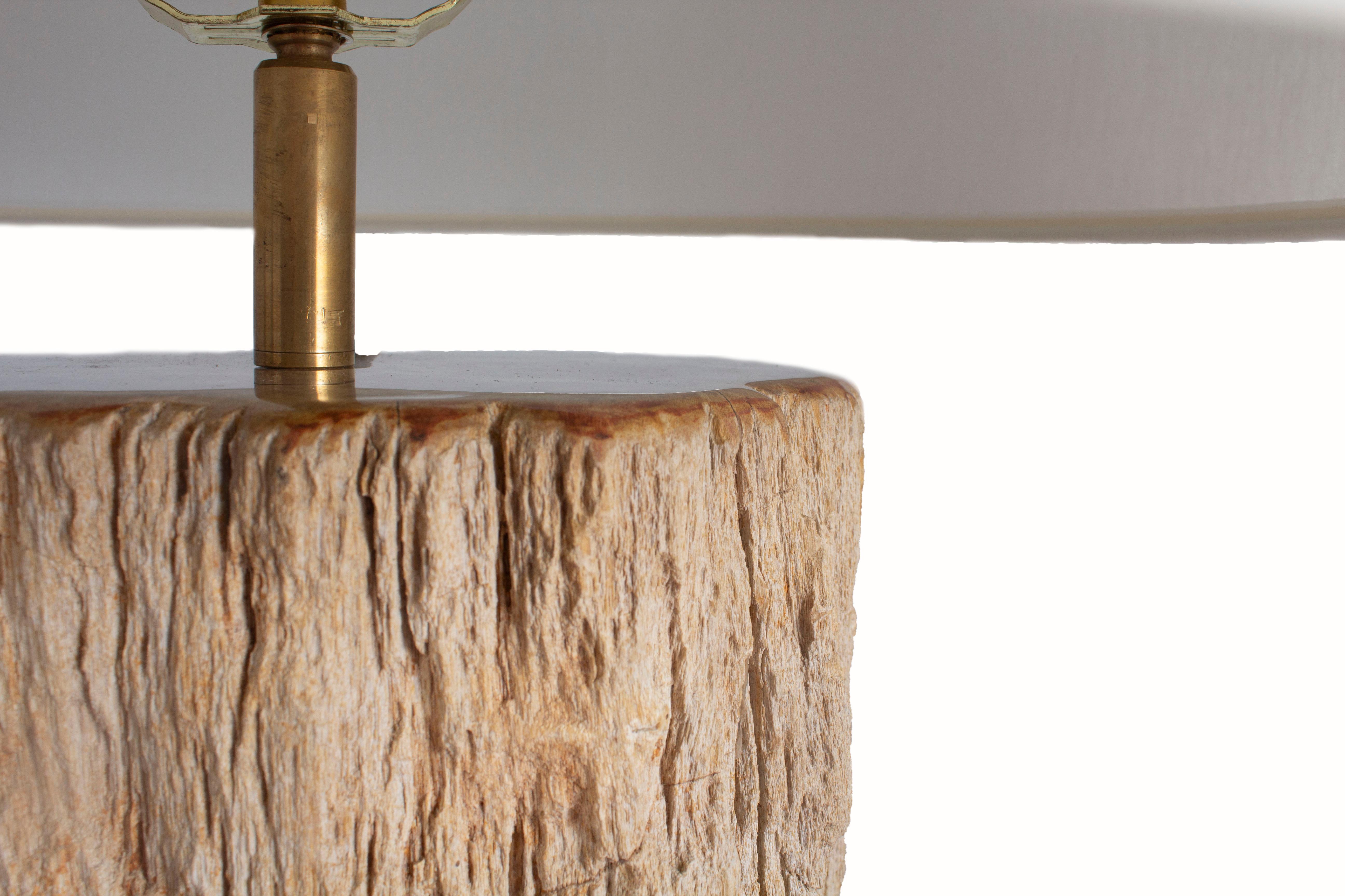 North American Petrified Wood Table Lamp