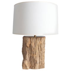 Petrified Wood Table Lamp