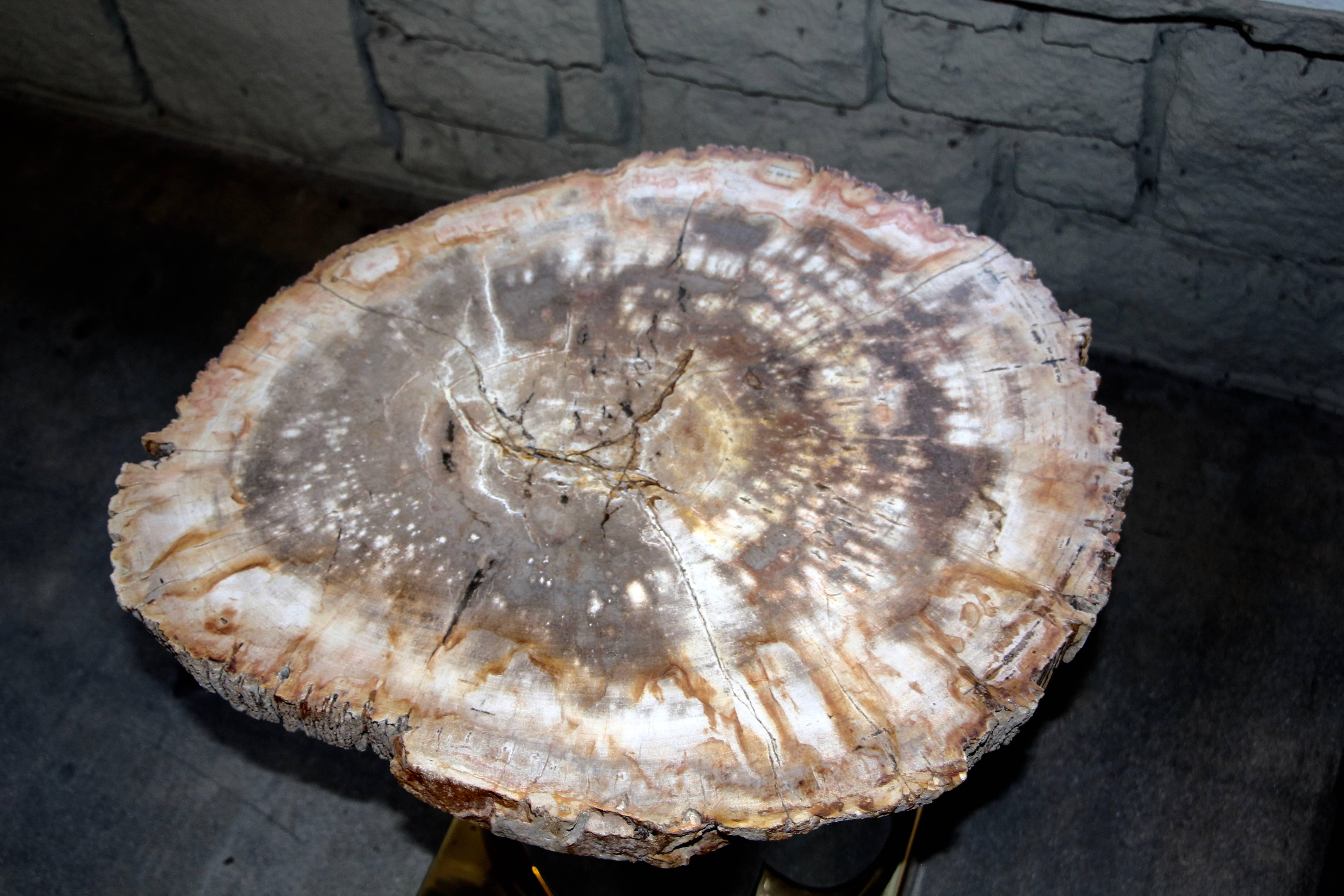 Petrified Wood Table with Brass and Chrome Base For Sale 7