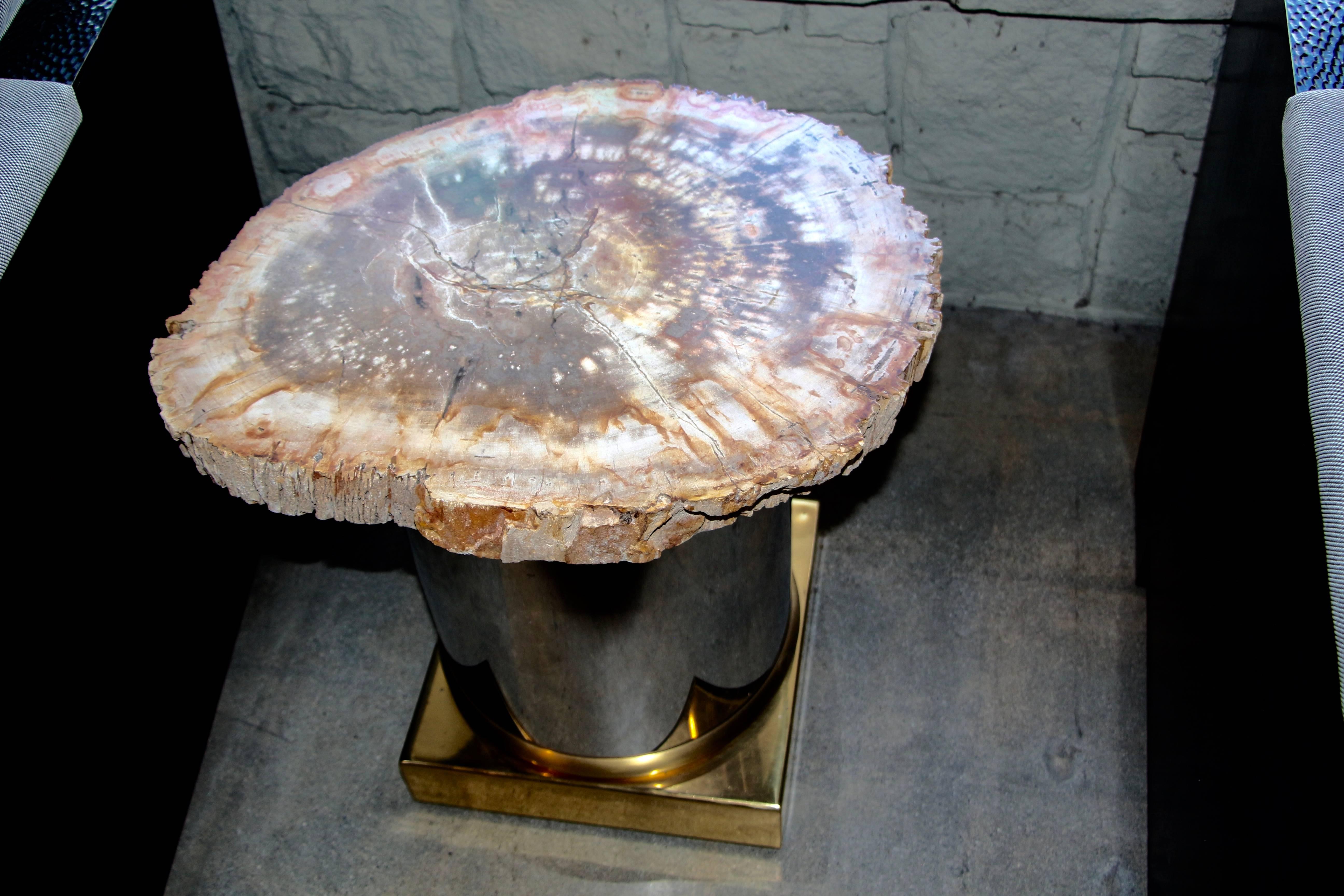 Petrified Wood Table with Brass and Chrome Base For Sale 8