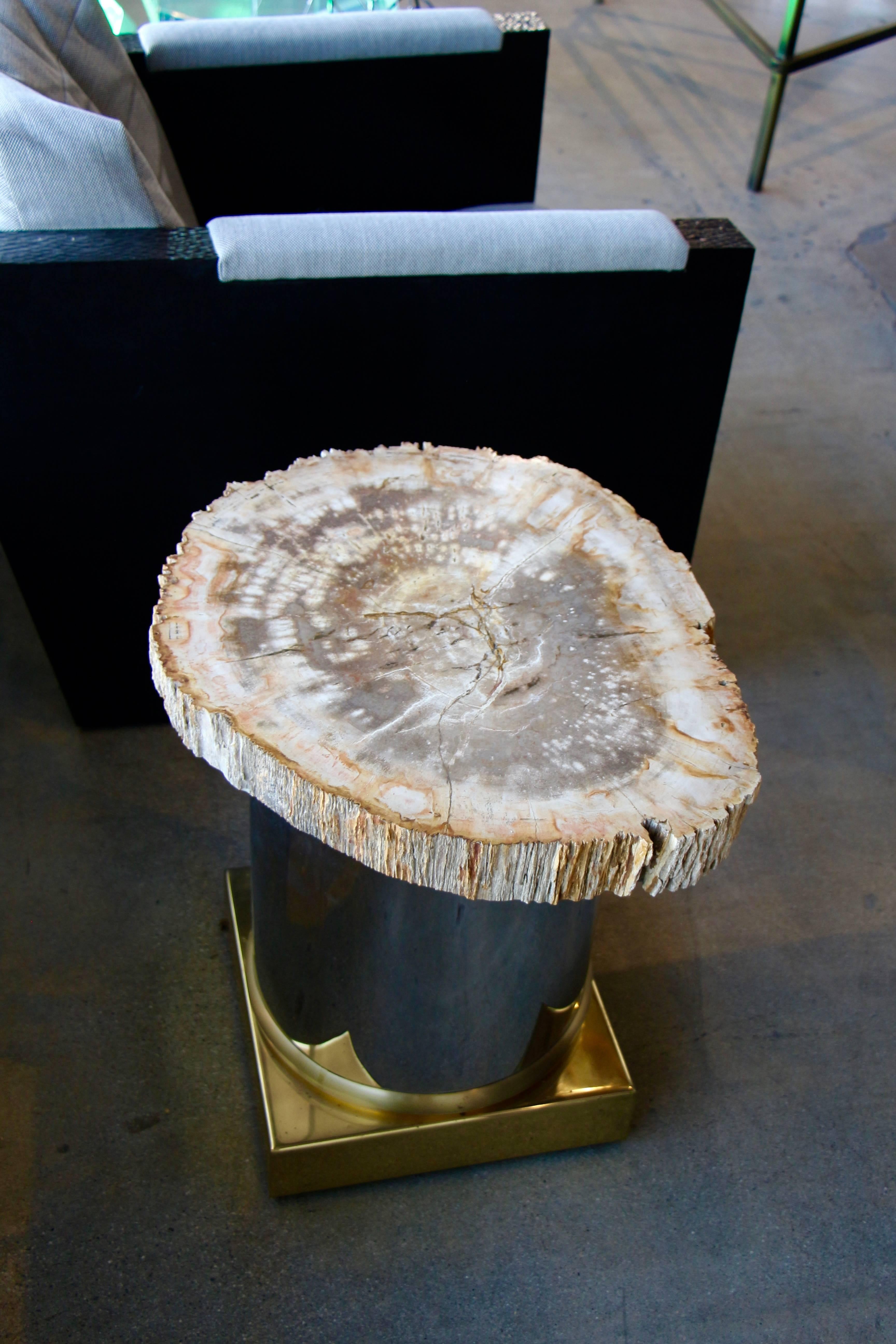 Petrified Wood Table with Brass and Chrome Base For Sale 9