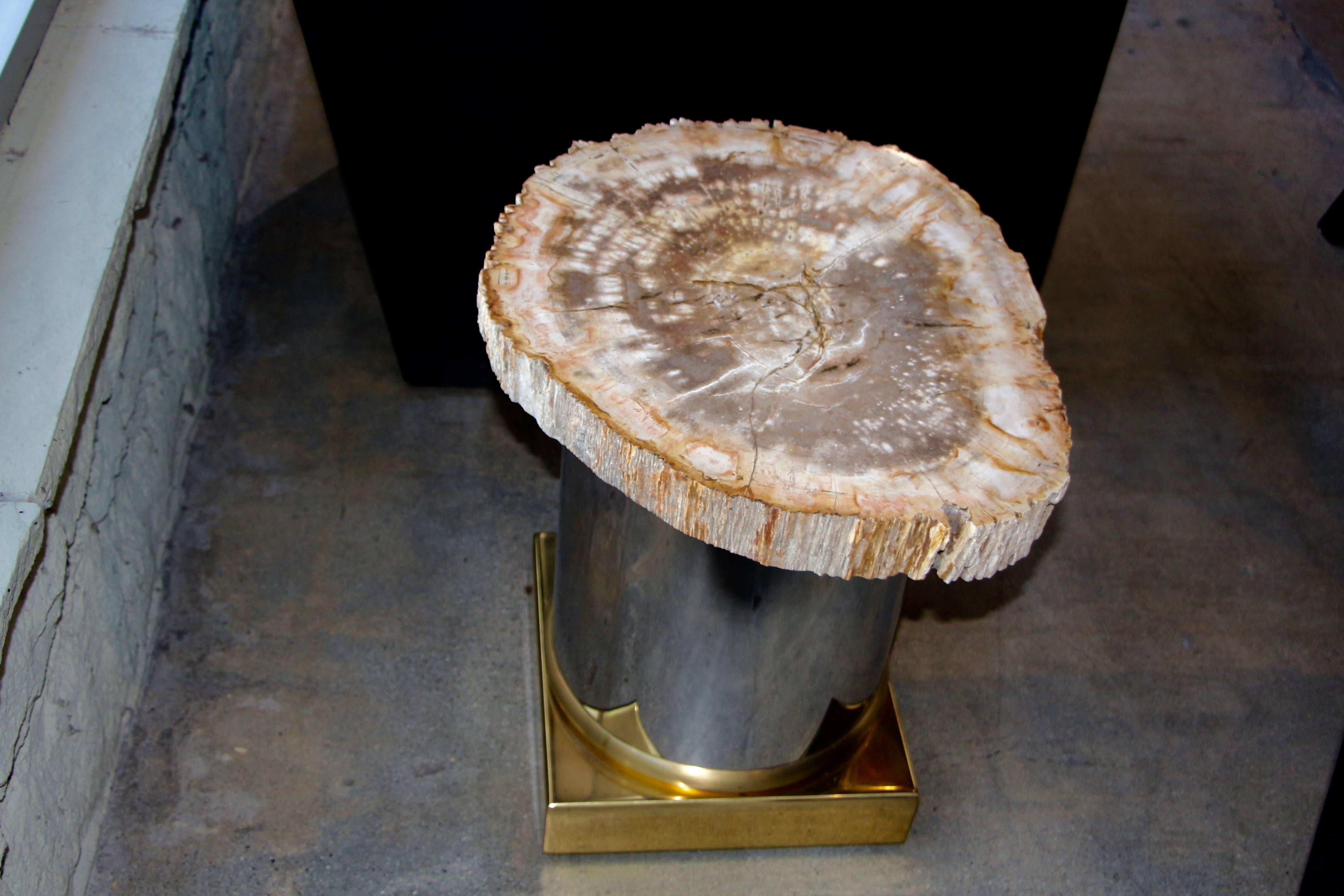 Petrified Wood Table with Brass and Chrome Base For Sale 10