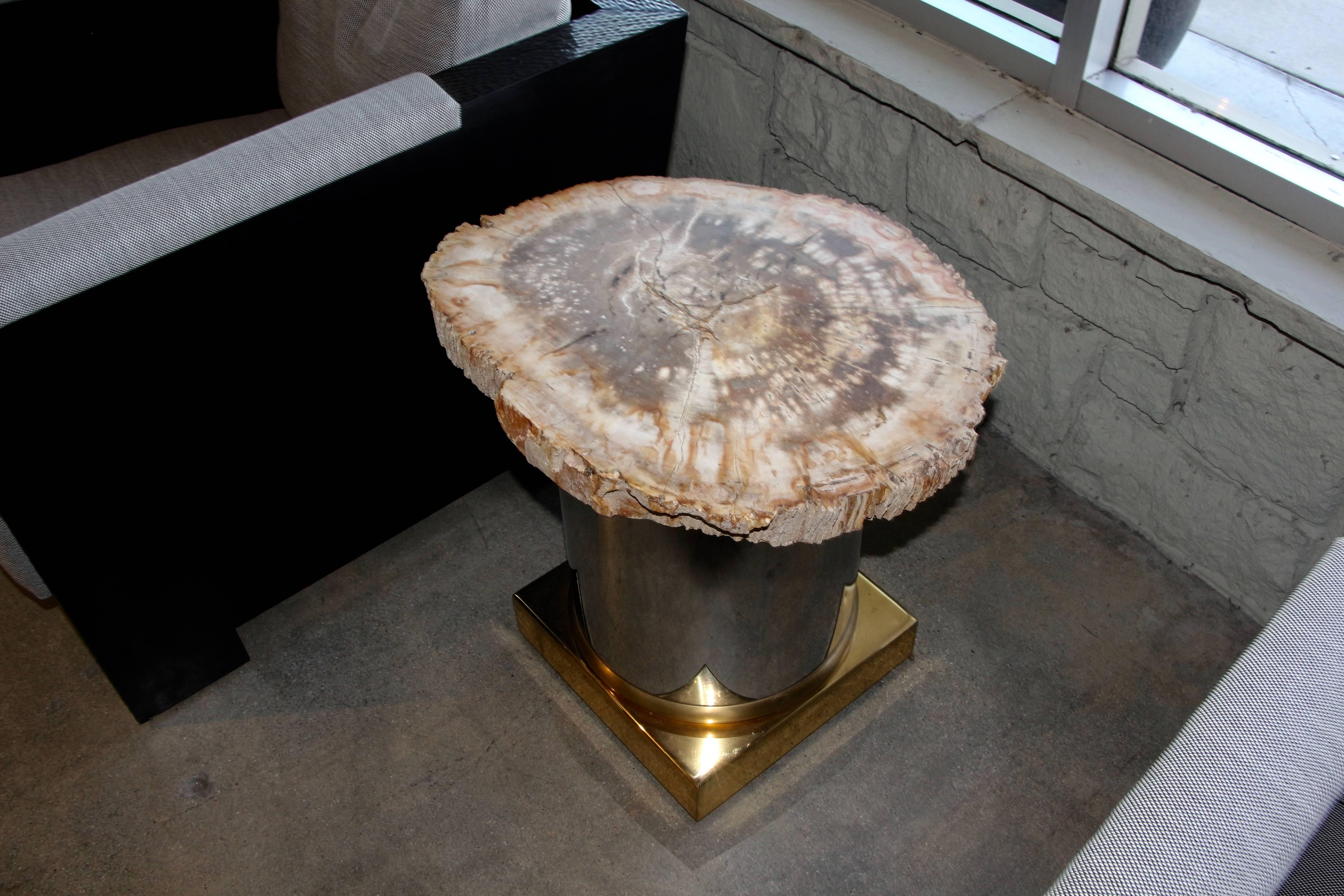 A spectacular petrified wood tabletop that we have set on a pretty brass and chrome base. The top is not attached but is quite heavy and does not move. It can be epoxied to the top, but for ease of transportation we have left it. There is some
