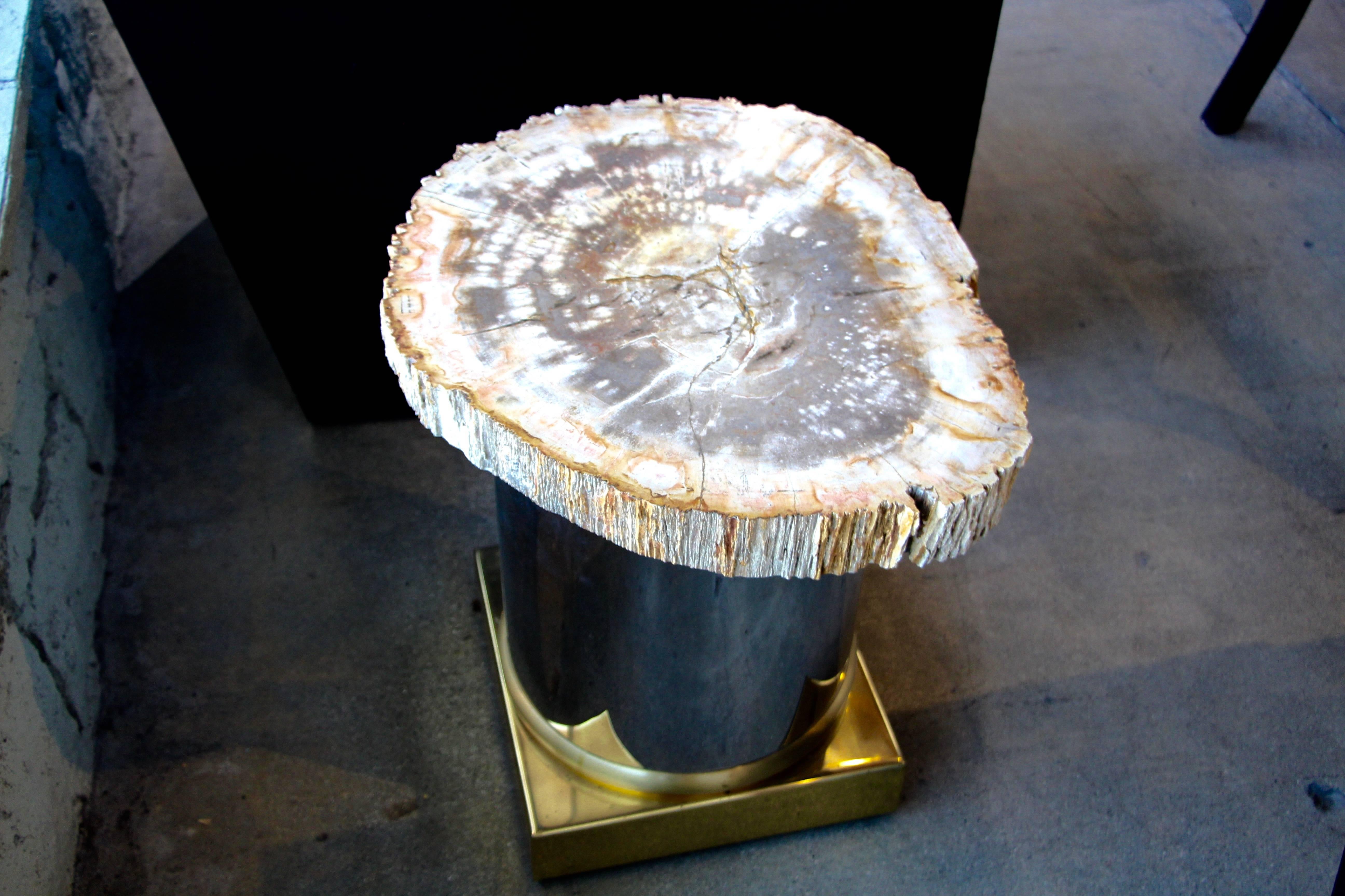 American Petrified Wood Table with Brass and Chrome Base For Sale