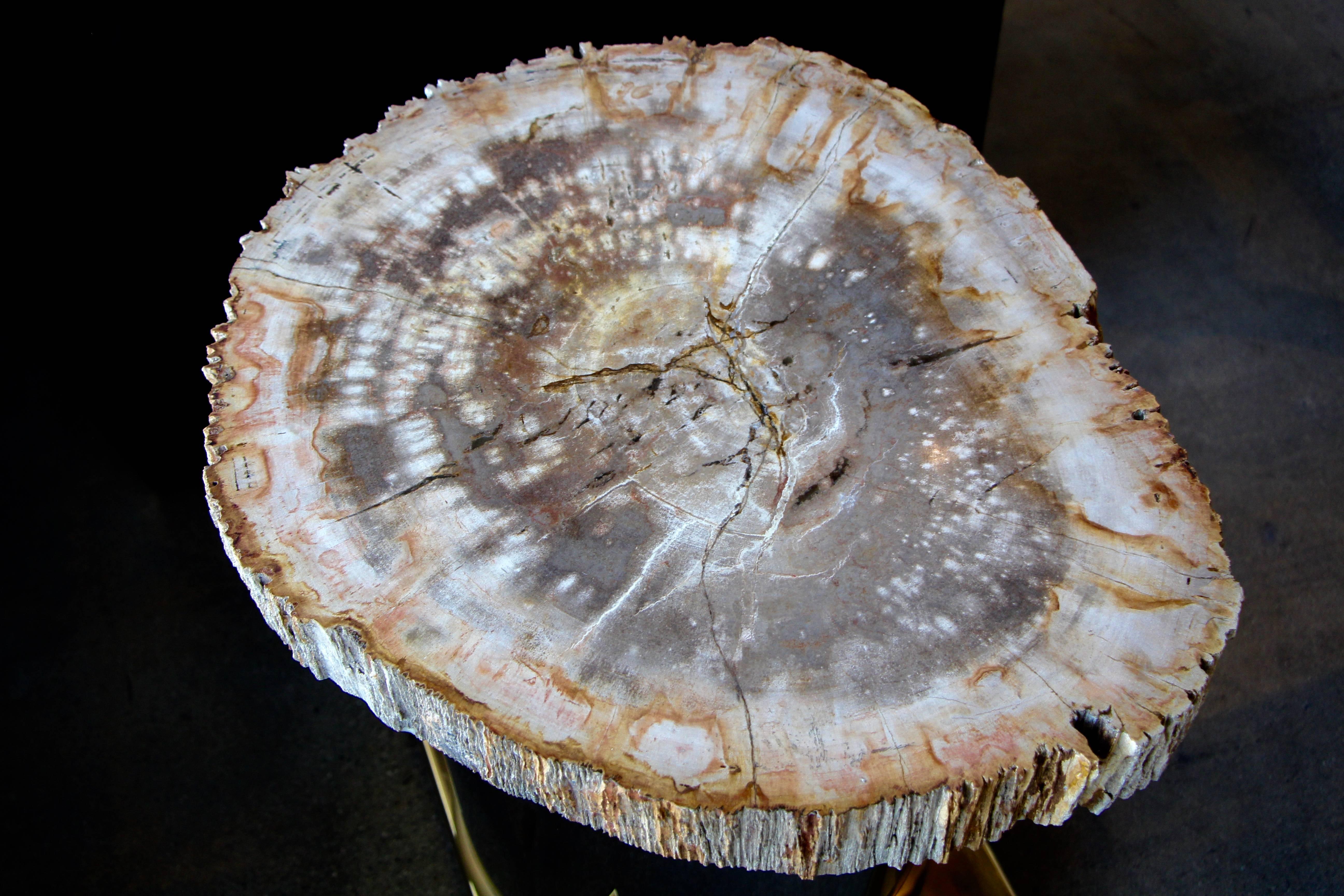 Hand-Crafted Petrified Wood Table with Brass and Chrome Base For Sale