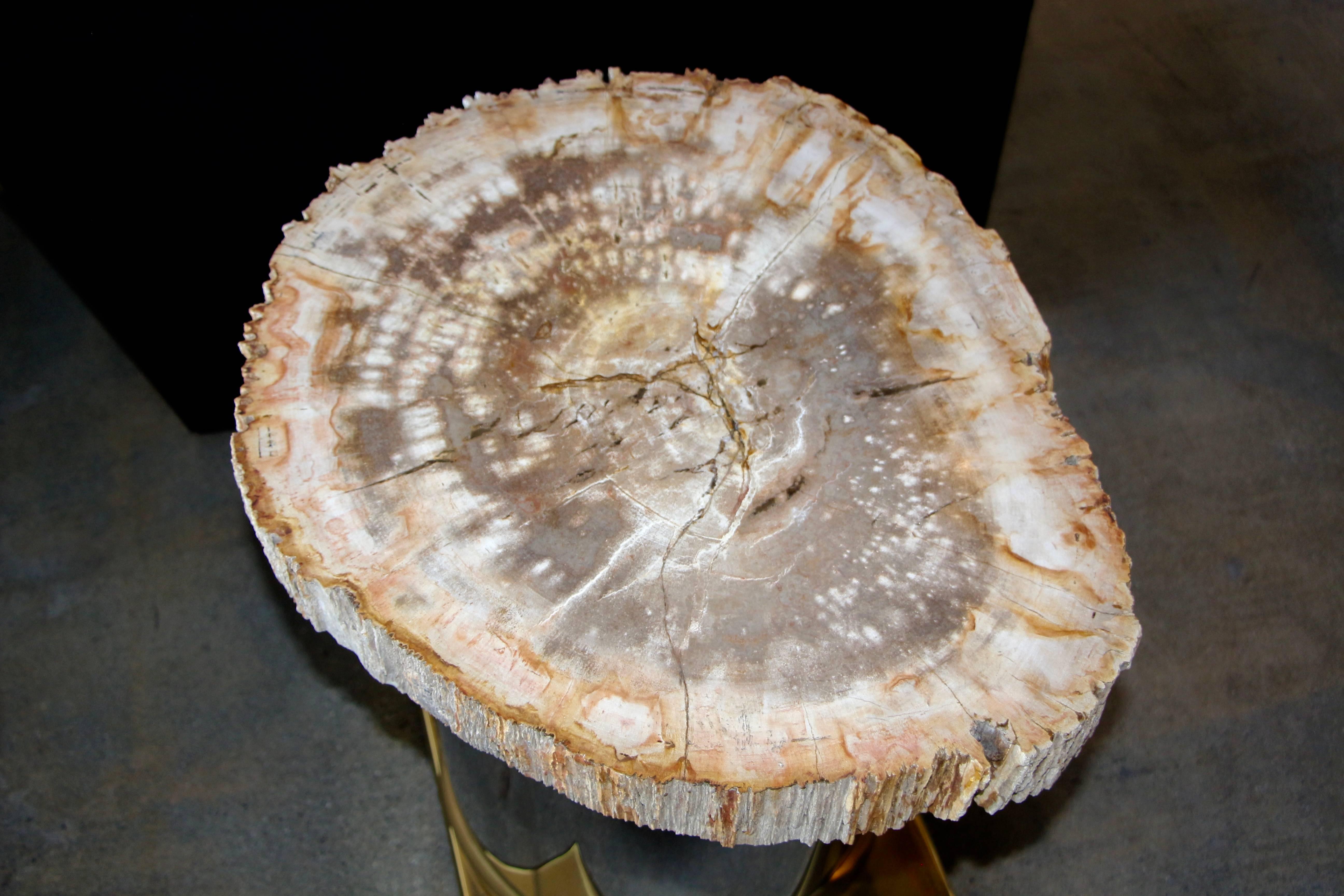Petrified Wood Table with Brass and Chrome Base In Good Condition For Sale In Palm Springs, CA