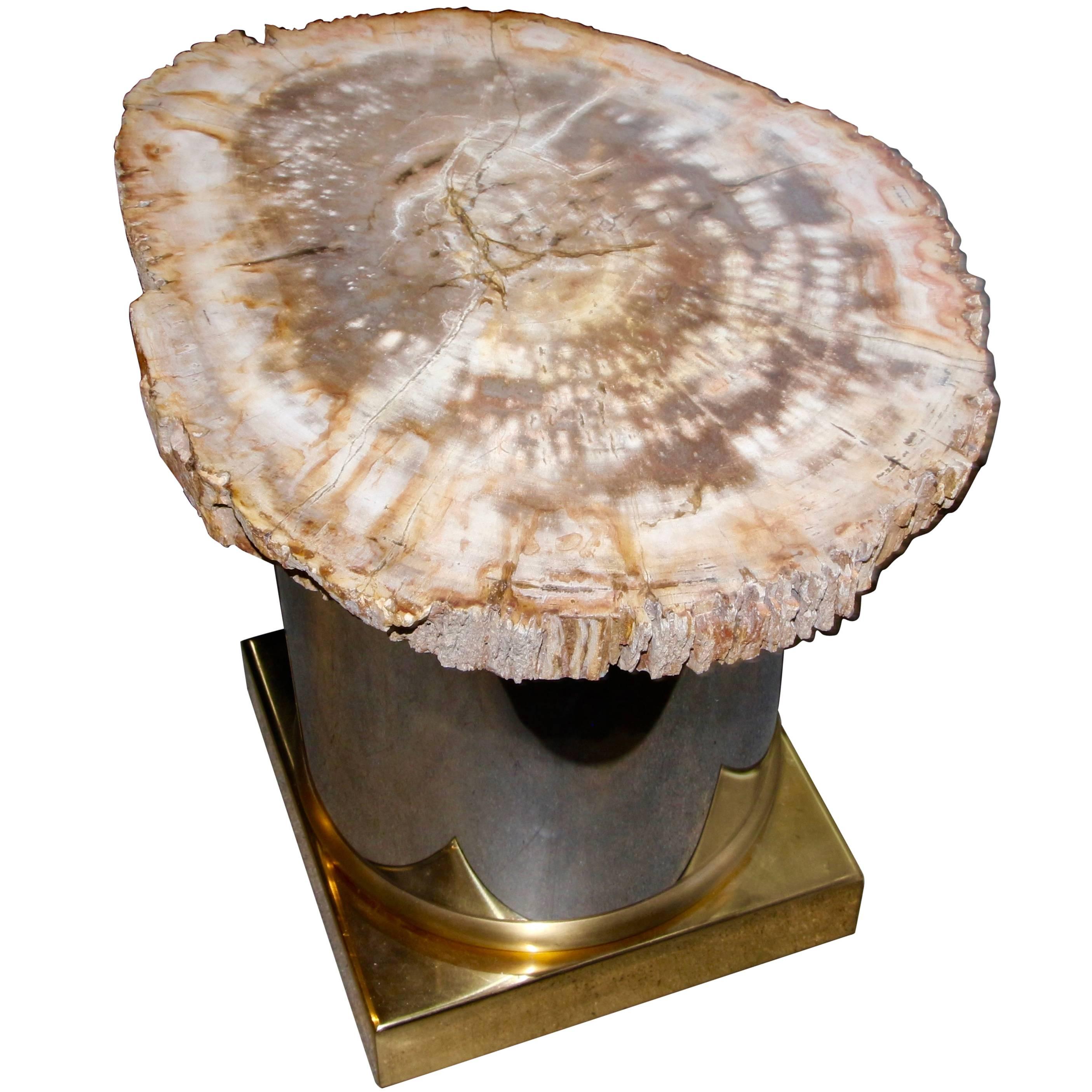 Petrified Wood Table with Brass and Chrome Base