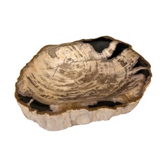 Petrified Wood Taupe Color Bowl, Indonesia, Prehistoric
