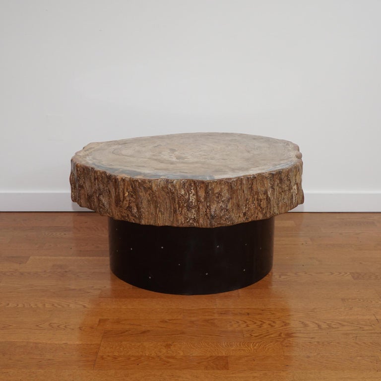 Petrified Wood Top Cocktail Table For Sale at 1stDibs