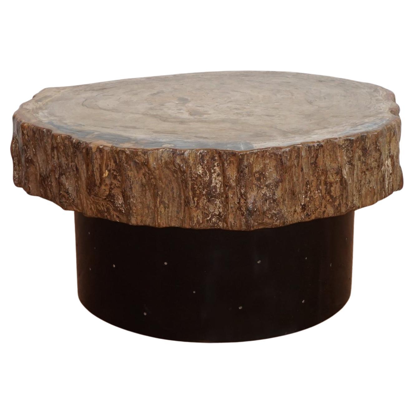 Petrified Wood Top Cocktail Table