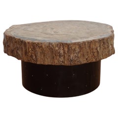 Petrified Wood Top Cocktail Table